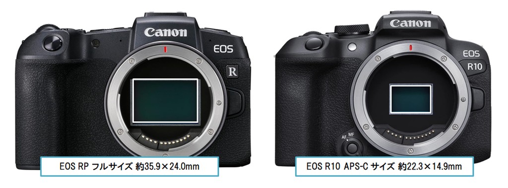 参考画像はCanon製のミラーレスカメラ左：EOS RP（フルサイズ）と右:EOS R10（APS-Cサイズ ）です。